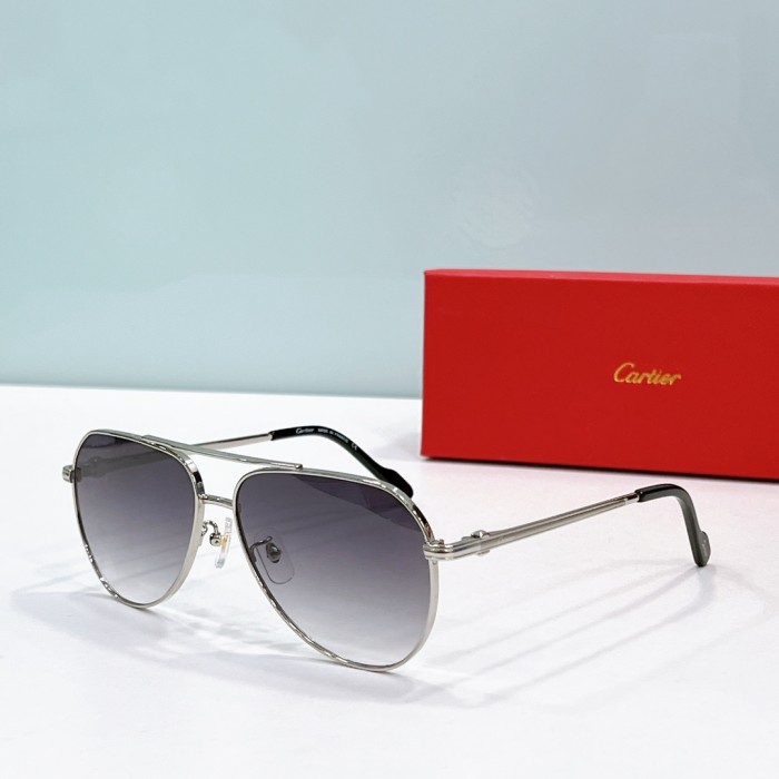 Cartier Sunglasses CA1202 SM021
