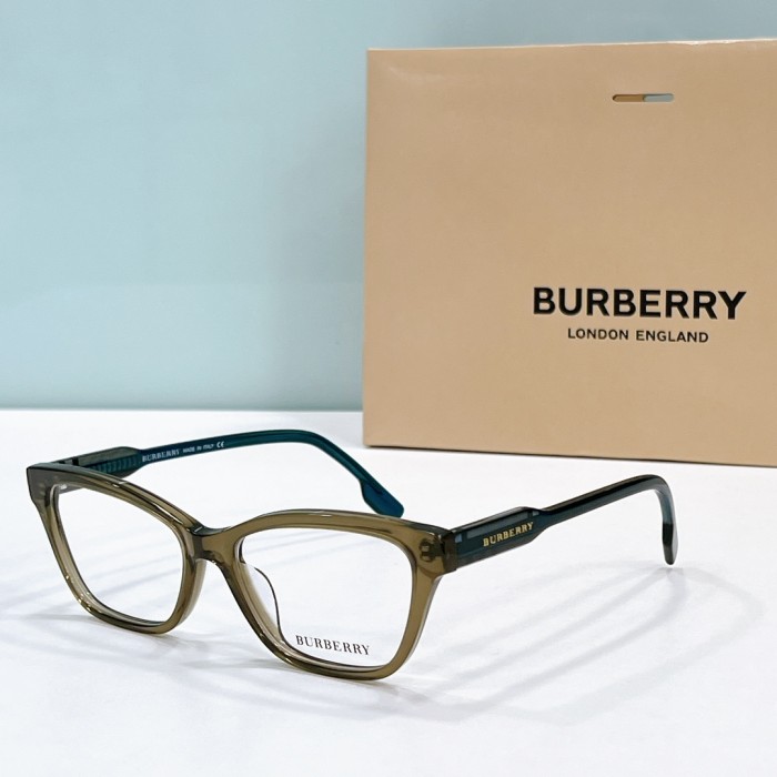 Burberry Sunglasses BE4420 SM501