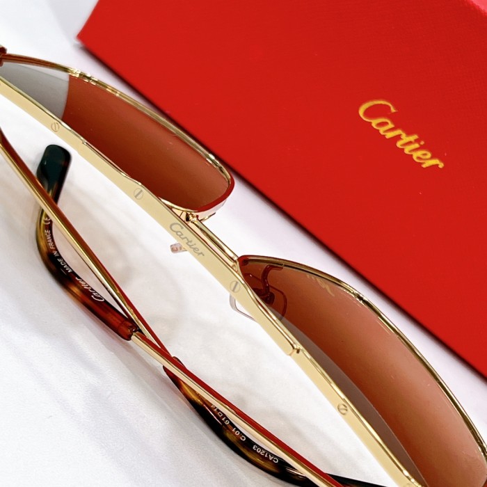Cartier Sunglasses CA1203 SM021