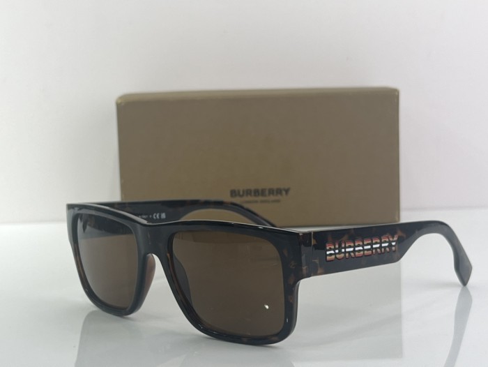 Burberry Sunglasses B 4358 SM021