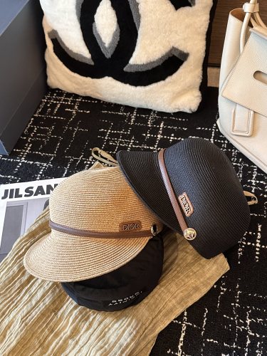 Dior Hats 001