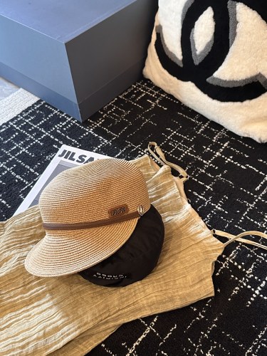 Dior Hats 001