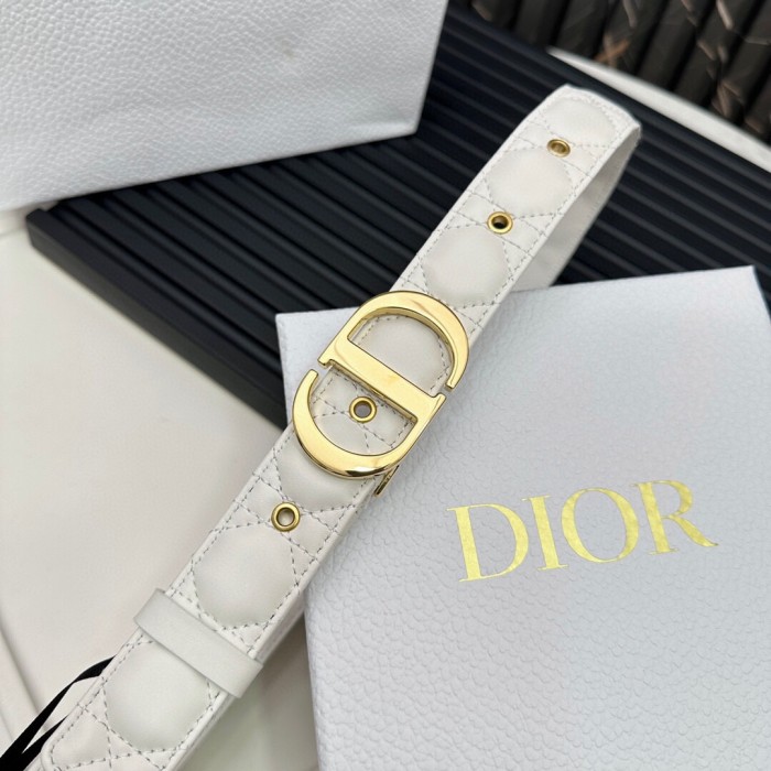 Dior Belt 014 3cm