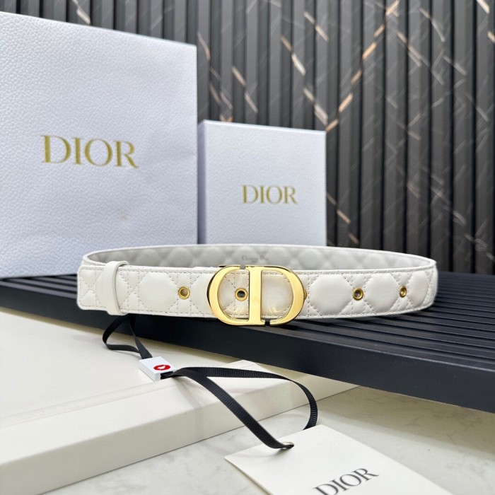 Dior Belt 014 3cm