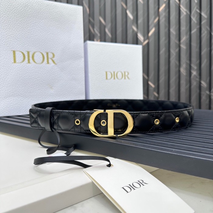 Dior Belt 014 3cm