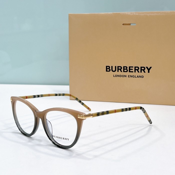 Burberry Sunglasses BE2372 SM501