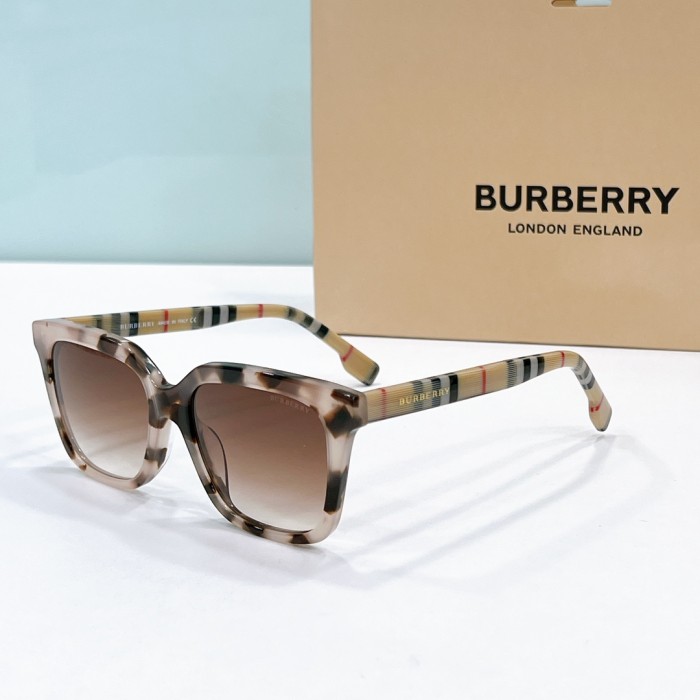 Burberry Sunglasses BE2370 SM021