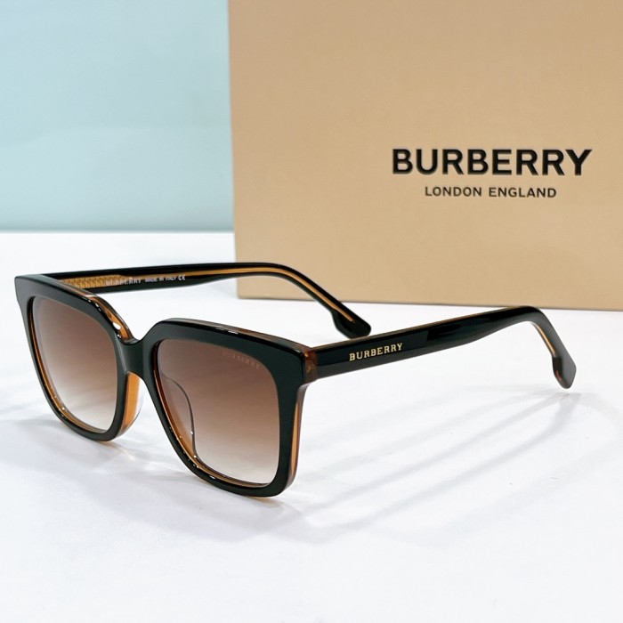 Burberry Sunglasses BE2370 SM021
