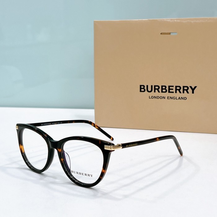 Burberry Sunglasses BE2372 SM501