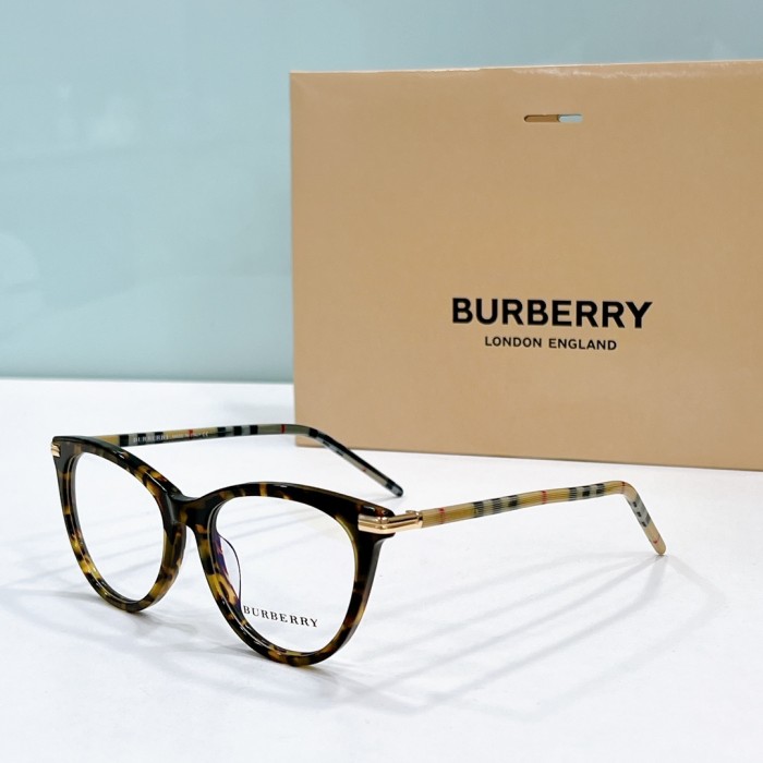 Burberry Sunglasses BE2372 SM501