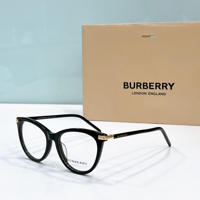 Burberry Sunglasses BE2372 SM501