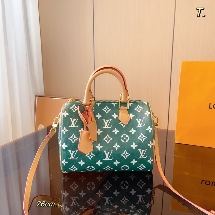 LV Speedy Bag 019 DB541 26-40cm