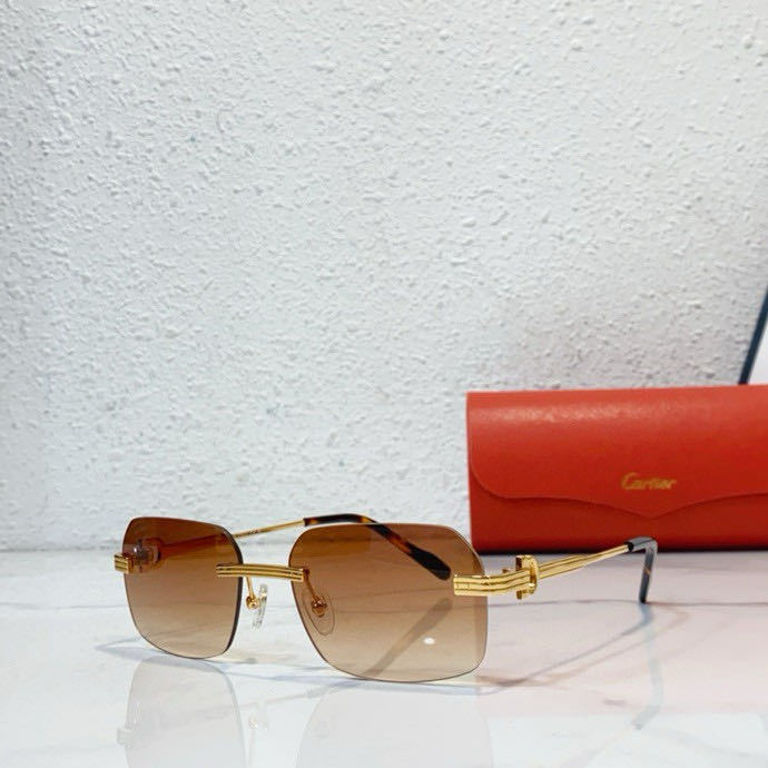 Cartier Sunglasses SM021