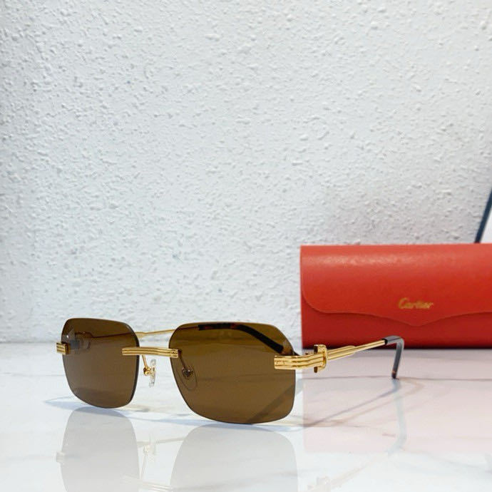 Cartier Sunglasses SM021