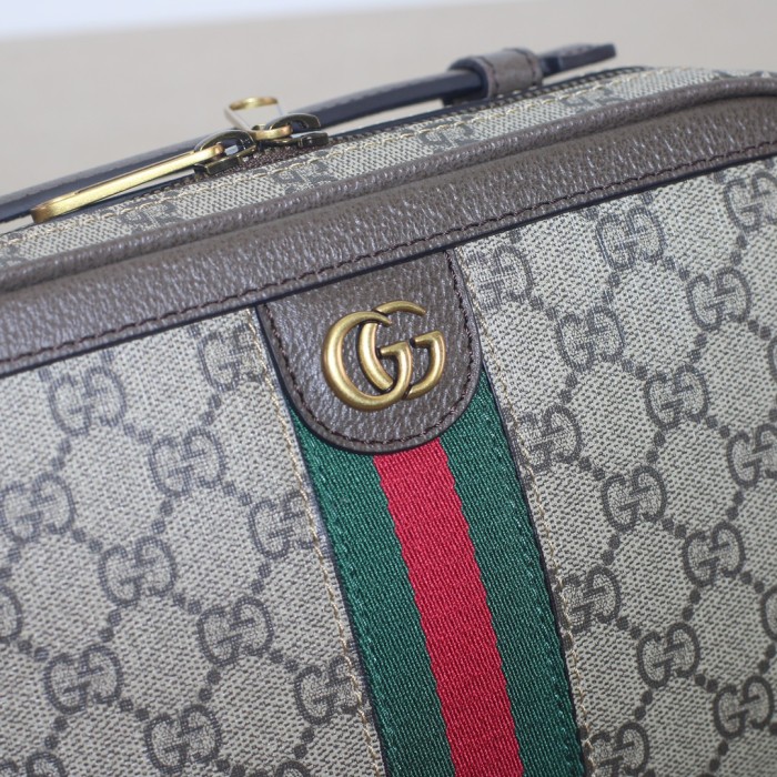 Gucci Ophidia Shoulder bag 739392 LM051 24cm