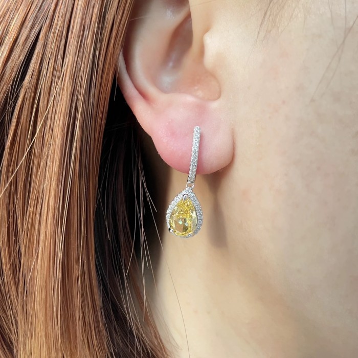 Tiffany & Co. Earring 006