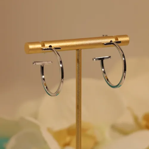 Tiffany & Co. Earring 005