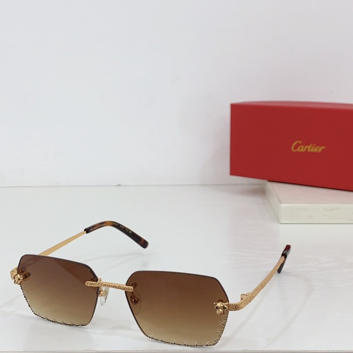 Cartier Sunglasses CT0542S SM051