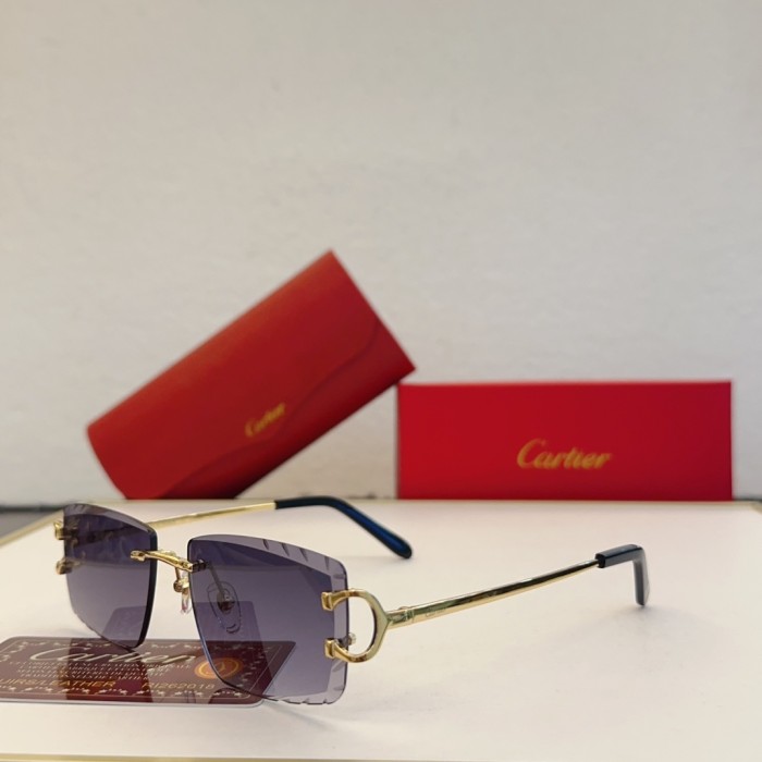 Cartier Sunglasses CT0094O SM041