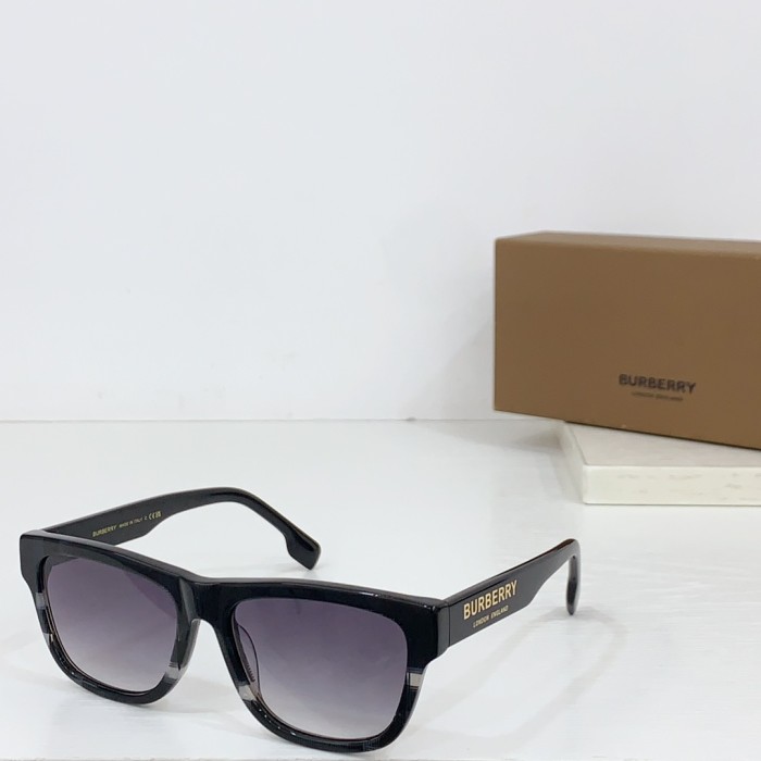 Burberry Sunglasses BE 4293 SM051