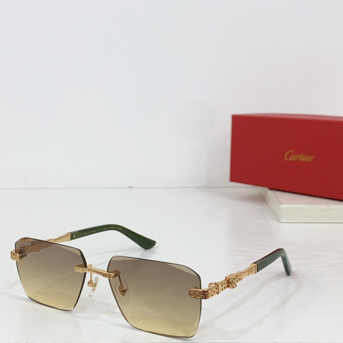 Cartier Sunglasses CT0613S SM051