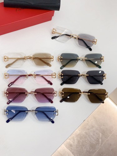 Cartier Sunglasses CT0597S SM051