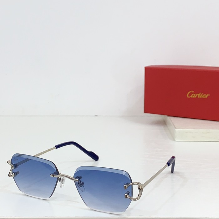 Cartier Sunglasses CT0597S SM051