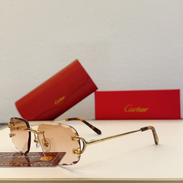 Cartier Sunglasses CT0092O SM051