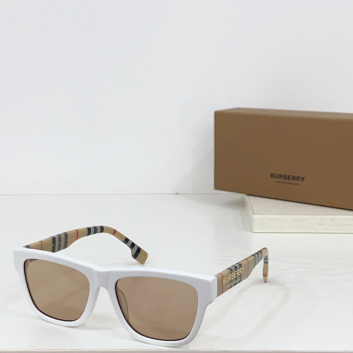 Burberry Sunglasses BE 4293 SM051