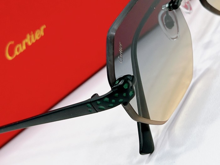 Cartier Sunglasses CT0585 SM051