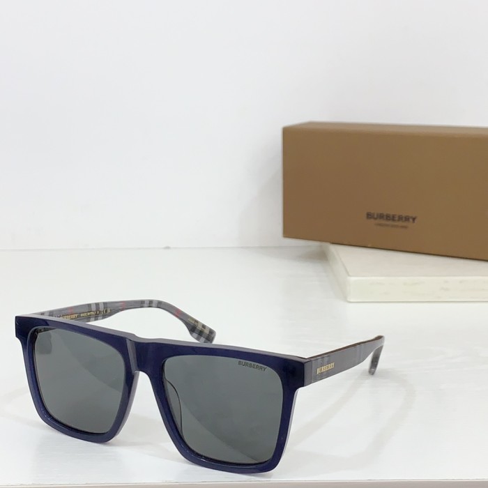 Burberry Sunglasses BE4916 SM011