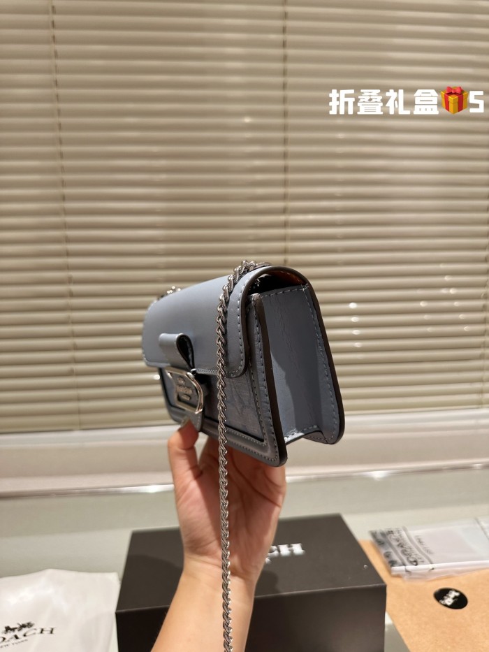 COACH Chain Bag 008 LLS561 20cm