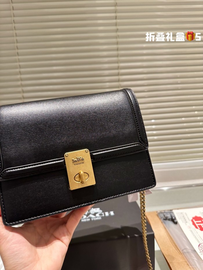 COACH Chain Bag 003 LLS091 21cm