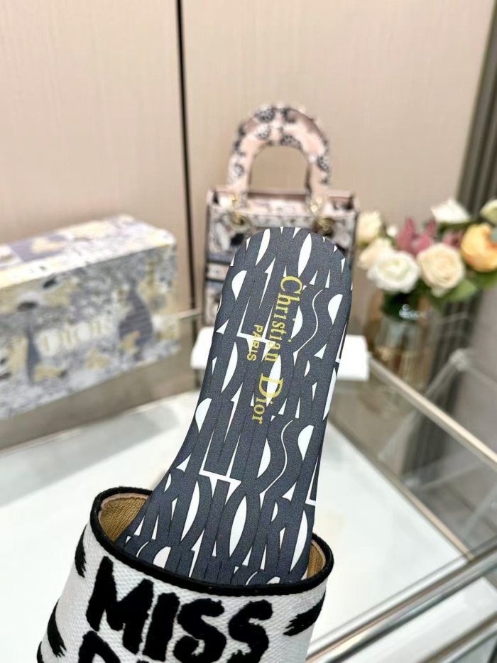Dior shoes 042 HL061