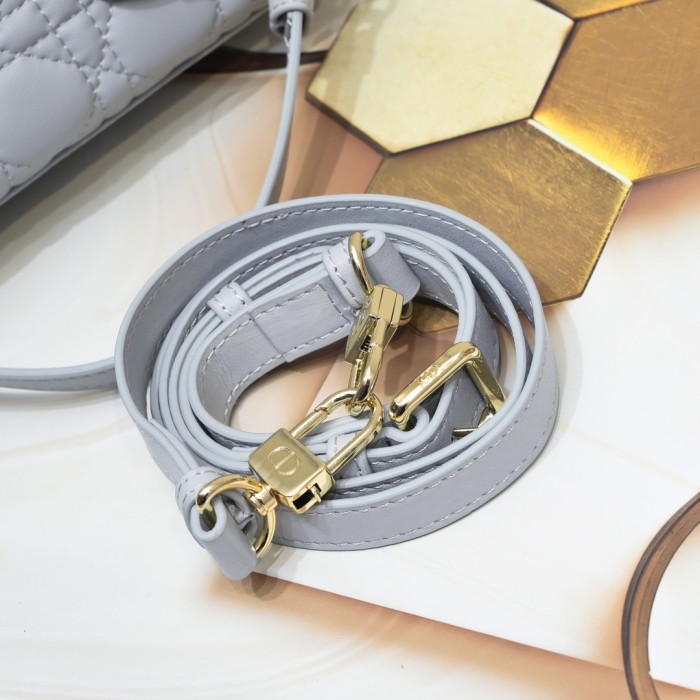 Dior Lady D-Joy bag 0541 LM091 22cm