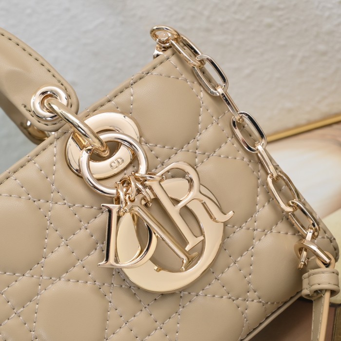 Dior Lady D-Joy bag 0541 LM091 22cm