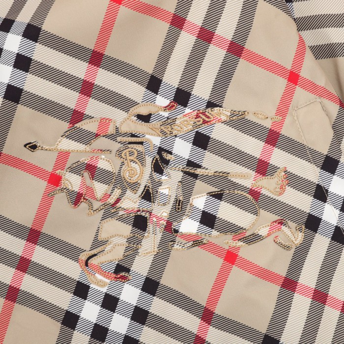 Burberry Reversible Jacket 001