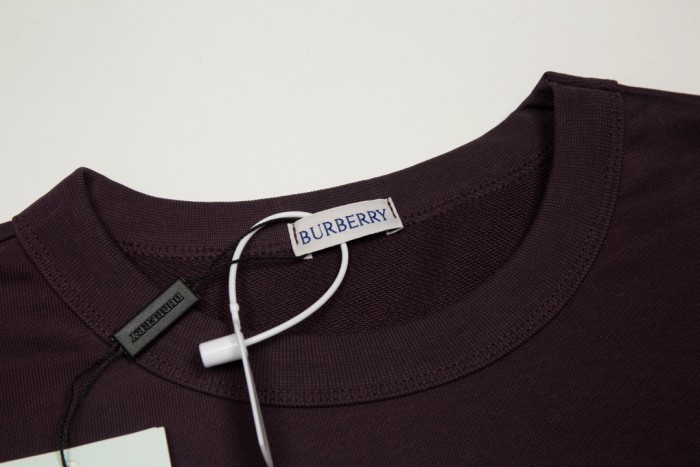 Burberry Sweatshirts 004