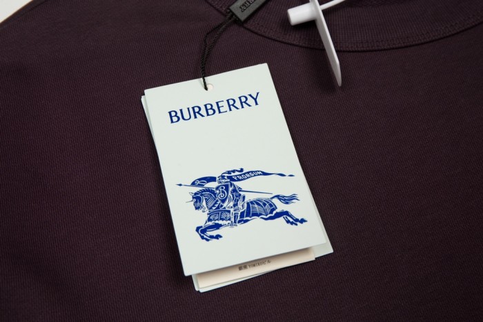 Burberry Sweatshirts 004