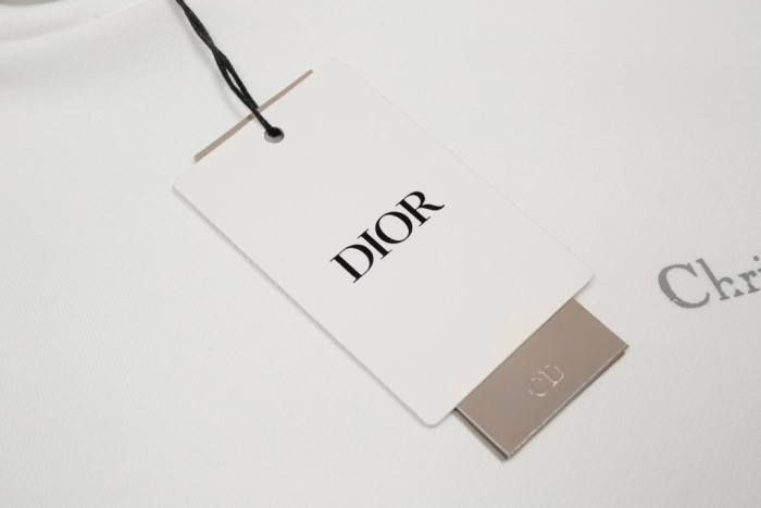 Dior Sweatshirts 003