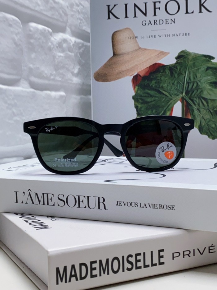 Ray-Ban Sunglasses RB4569