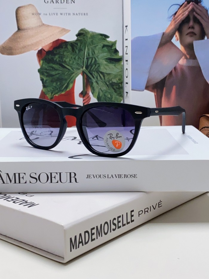 Ray-Ban Sunglasses RB4569
