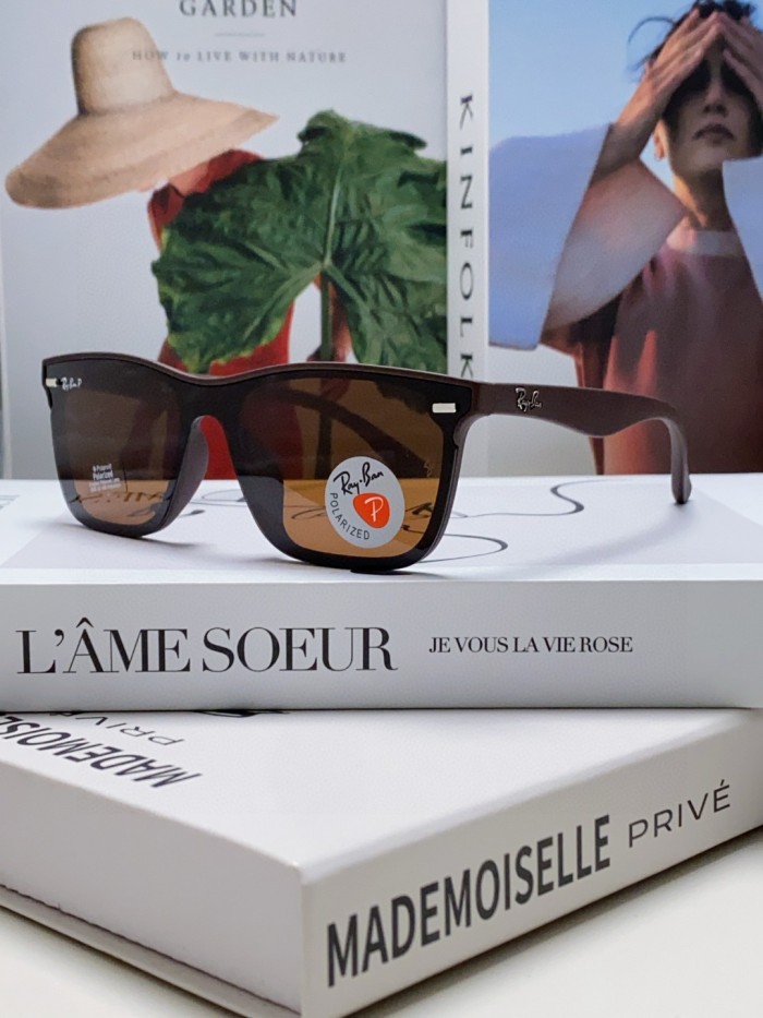 Ray-Ban Sunglasses RB4487