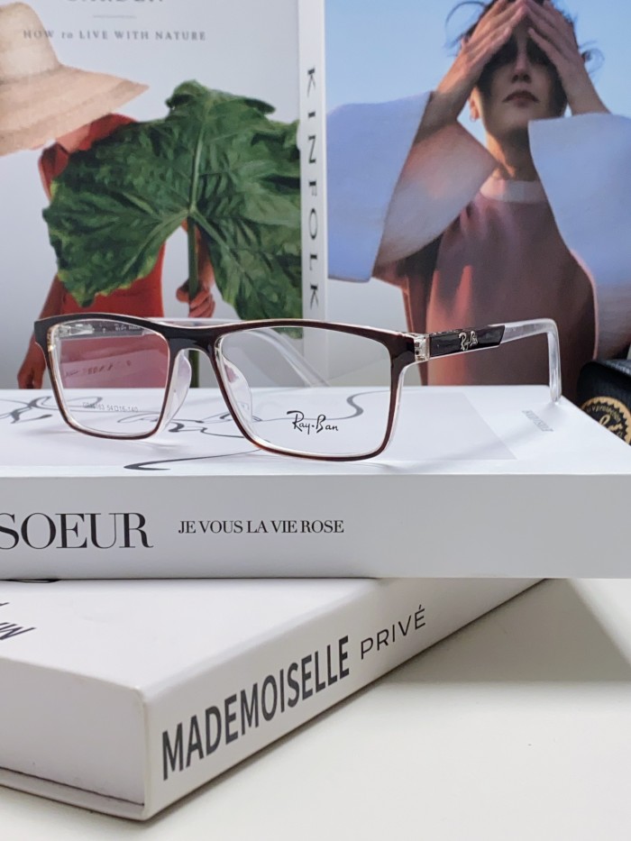 Ray-Ban Sunglasses RB19113
