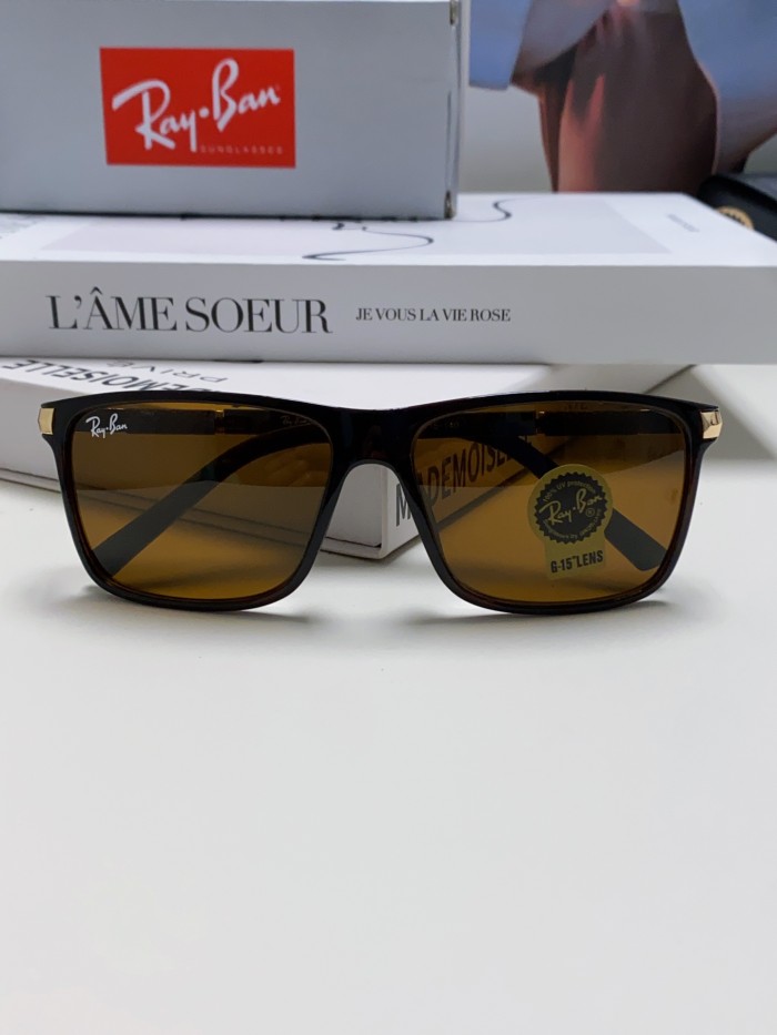 Ray-Ban Sunglasses RB4347