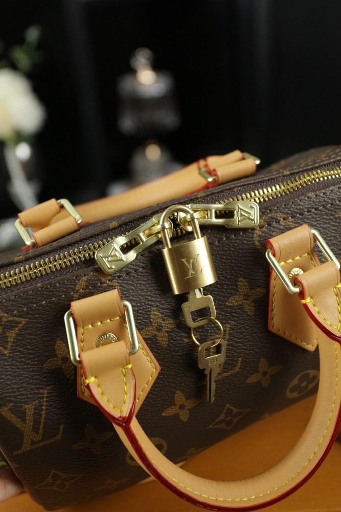LV Speedy Bag 003 LLS091 20cm