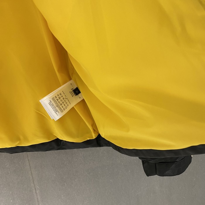 Fendi Down Jacket 002 M067