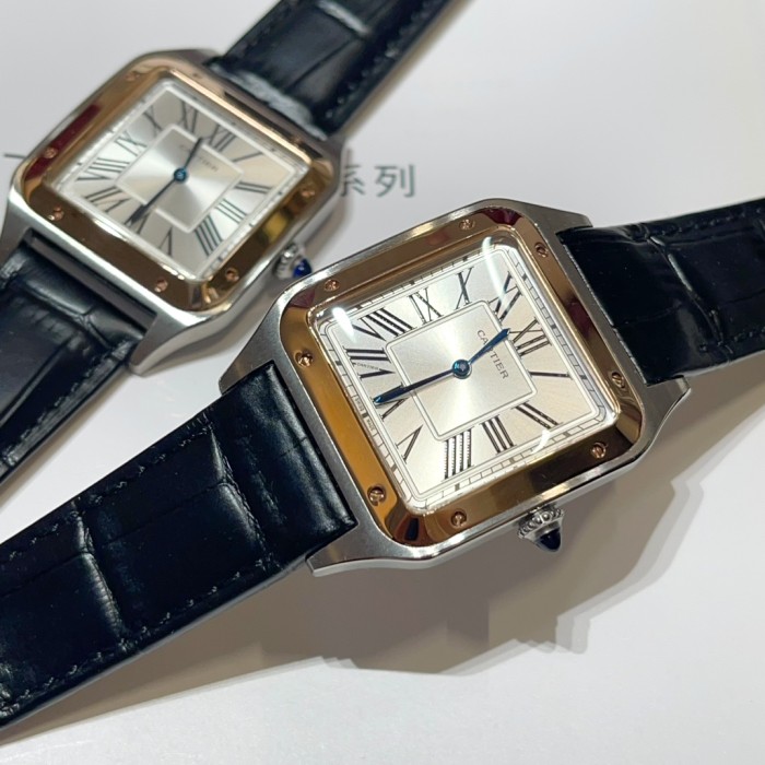 Cartier Santos-Dumont 28*38-32*43-35*46mm