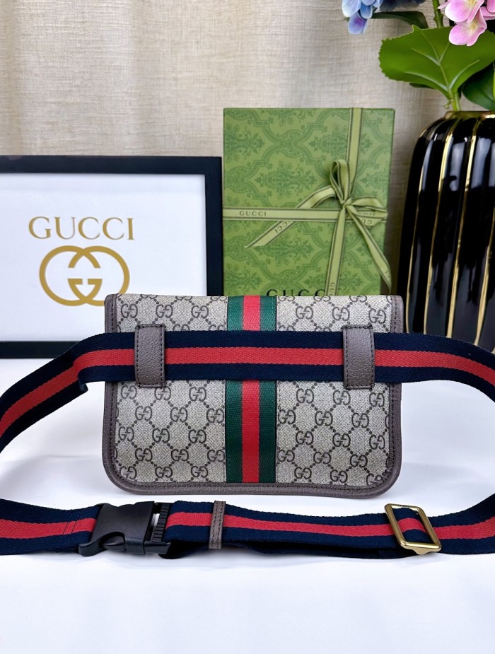 Gucci Ophidia Bumbag 752597 BM031 24cm