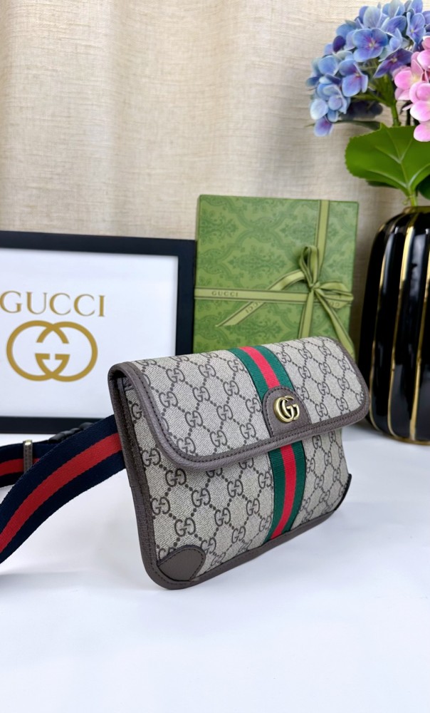 Gucci Ophidia Bumbag 752597 BM031 24cm